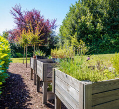 Charming herb garden - pick fresh herbs for cooking