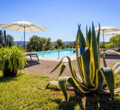 Carefully landscaped garden and pool area, showing attention to detail