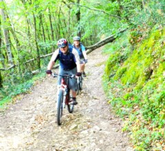 Urval Mountain biking through the rolling Dordogne hills