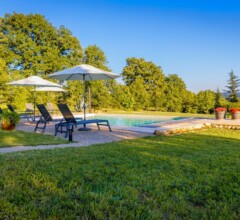 Private pool surrounded by lush greenery in the Dordogne